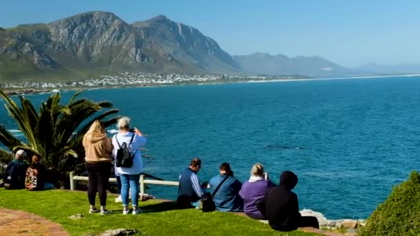 Tourists Whale Watching Scenic Lookout Point Hermanus South Africa — Stock Video