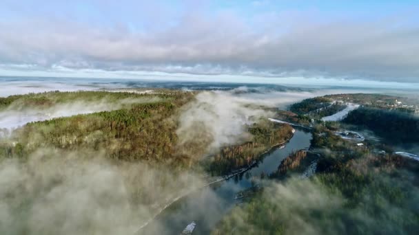 Nehir Boyunca Alçak Vadi Sisi Pitoresk Bir Dağ Ormanının Içinden — Stok video