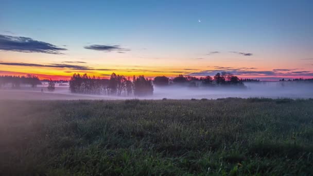 Szeroki Timelapse Mgły Porusza Się Przez Pole Trawy Drzew Zmierzchu — Wideo stockowe