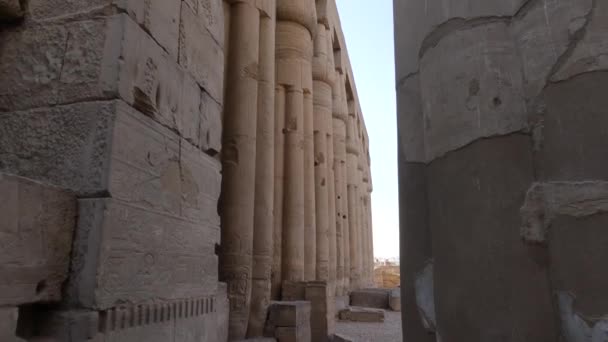 エジプト ルクソール神殿を所蔵する高精細な柱の全体像を示す手持ち撮影 — ストック動画