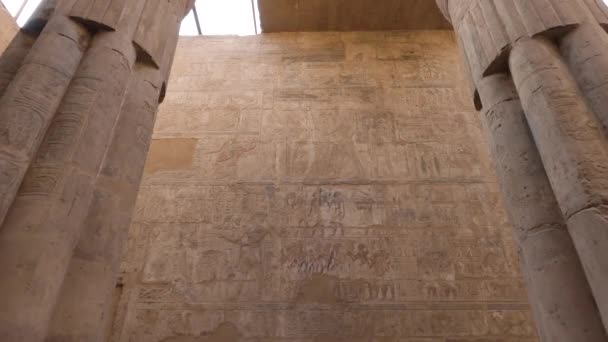 Εξαιρετικά Χαραγμένο Τοίχο Που Έχει Ιερογλυφικά Από Πάνω Προς Κάτω — Αρχείο Βίντεο