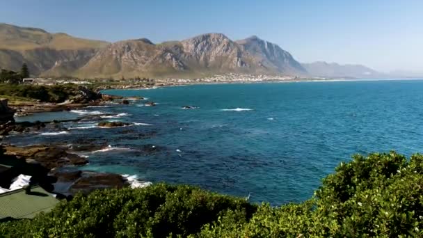 Hermanus Cape Whale Sahili Ndeki Manzaralı Manzarası — Stok video