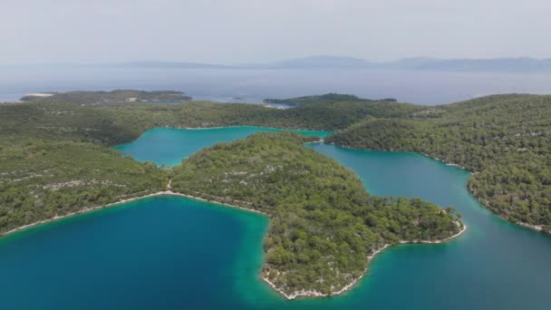 Aerial Tiro Mljet Island National Park Croácia Europa — Vídeo de Stock