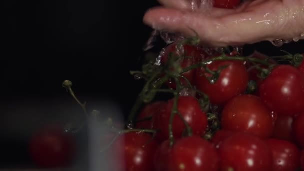 Red Ripe Tomatoes Black Background Washing Closeup — Stock Video