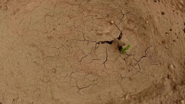 Água Inundar Num Deserto Fim Seca Terras Áridas Secas — Vídeo de Stock