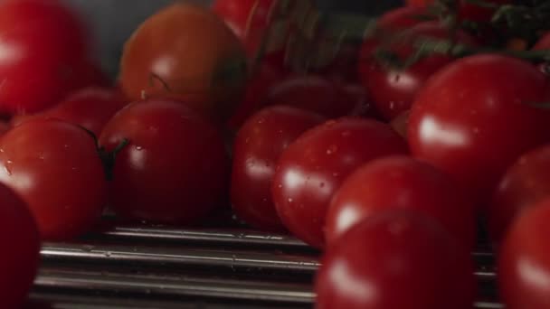 Pomodori Rossi Freschi Lavati Biologici Che Cadono Sull Asciugatrice Primo — Video Stock