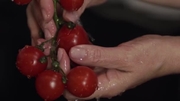 女子的手在黑色背景的特写下洗红樱桃番茄枝 — 图库视频影像