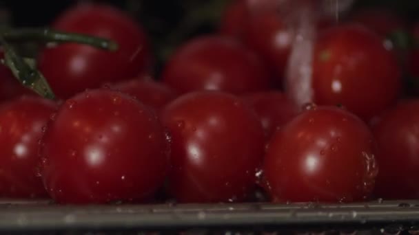 Frische Bio Tomaten Großaufnahme Die Hand Der Frau Hebt Gewaschene — Stockvideo