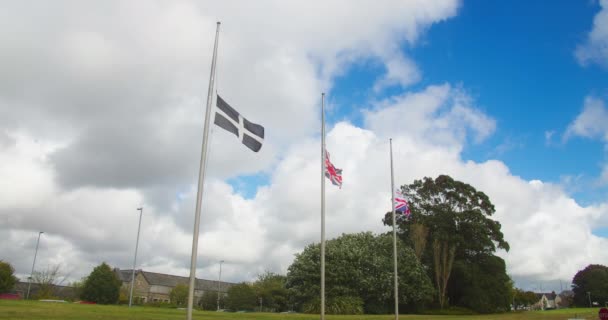 Union Jack Flags Cornwall Lowered Half Mast Death Great Britain — Vídeos de Stock