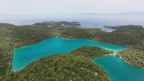 Mljet Adası Ulusal Parkı Hırvatistan Avrupa Aerial Çekimi — Stok video
