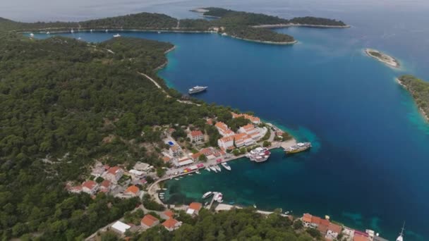 Aeriellt Skott Nationalparken Mljet Island Kroatien Europa — Stockvideo