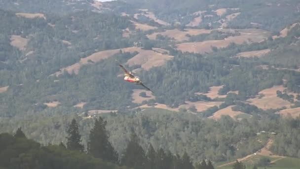 Avión Lanzando Rojo Ignífugo Sobre Fuego Salvaje — Vídeos de Stock
