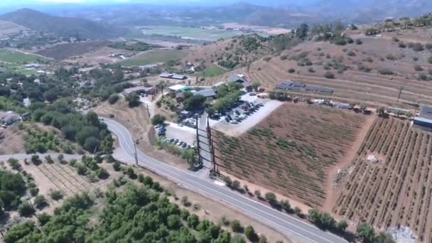 Winery Grape Vineyard California Valley Cinematic Roll Aerial Drone Shot — Stok Video