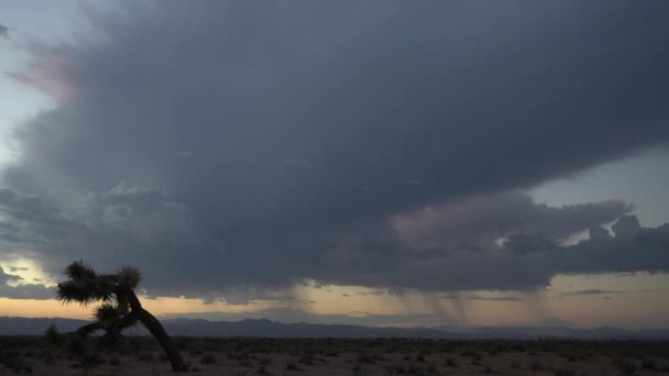 Una Rara Lluvia Llega Desierto Mojave Diluvio Monzónico Lapso Tiempo — Vídeos de Stock
