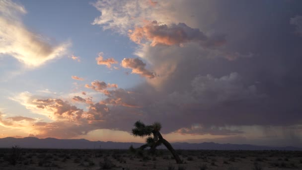 Nuvens Coloridas Dramáticas Pôr Sol Seguida Chuvas Monção Saciam Sede — Vídeo de Stock