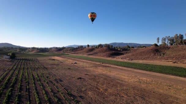 Ein Bunter Heißluftballon Flug Über Tiefbraune Weinberge Und Berge Luftaufstieg — Stockvideo