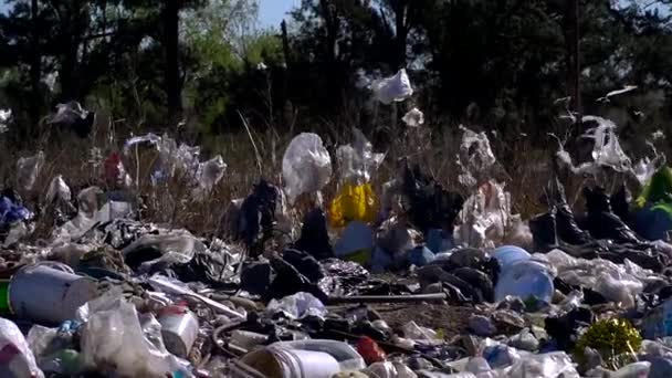 在垃圾场被风吹动的杂草粘住塑料的慢动作手持画面 — 图库视频影像