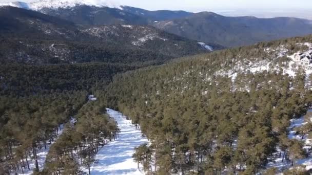 Uložení Pohled Pohoří Guadarrama Madridu Španělsko Krásným Zasněženým Lesem Zimní — Stock video