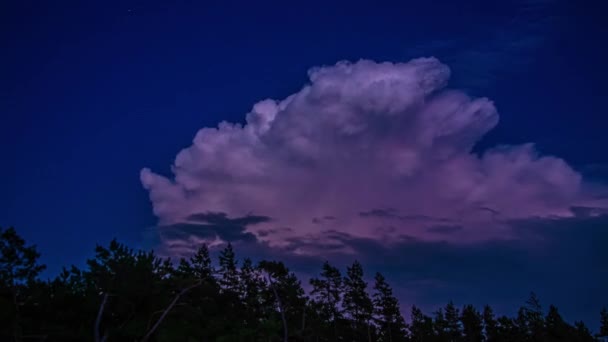 Bajo Ángulo Disparo Relámpago Tormenta Visible Las Nubes Oscuras Cielo — Vídeo de stock