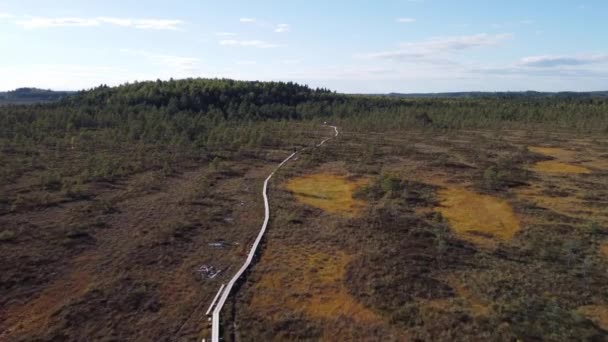 Duckboards Ett Stort Träsk Drönarskott — Stockvideo