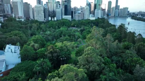 Luchtbeelden Van Brisbane Cbd Van Boven Botanische Tuinen Brisbane River — Stockvideo