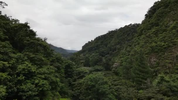 Luftaufnahme Des Endlosen Dschungels Den Bergen Von Boquete Panama — Stockvideo