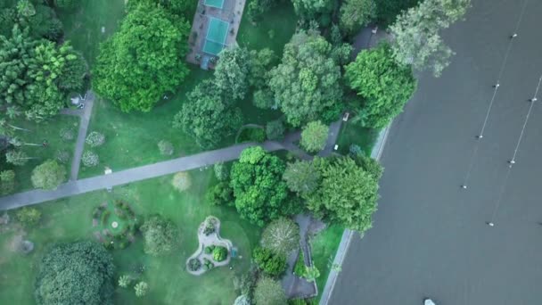 Botanik Bahçeleri Brisbane Nehri Nden Cbd Gökdelenlerine Bakan Brisbane Cbd — Stok video