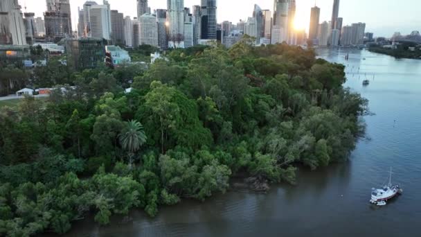 Filmato Aereo Del Cbd Brisbane Dall Alto Dei Giardini Botanici — Video Stock