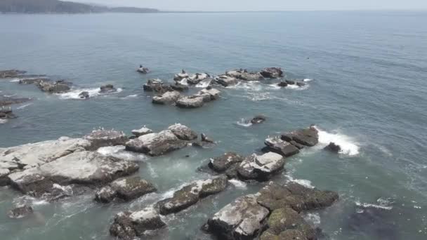 Dron Aéreo Olas Oceánicas Golpeando Formaciones Rocosas Cerca Costa — Vídeos de Stock