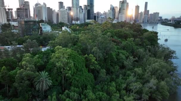 Brisbane Cbd的空中录像 从植物园和Brisbane河上方俯瞰Cbd摩天大楼 — 图库视频影像