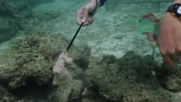 Buceador Con Bolsa Malla Recogiendo Basura Plástica Fondo Del Océano — Vídeos de Stock