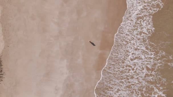 Top View Drone Tracking Woman Walking Sandy Beach While Waves — Vídeos de Stock