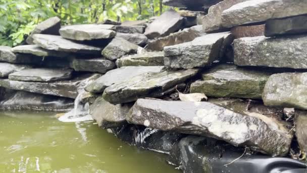 Caduta Acqua Piccolo Stagno Cortile — Video Stock