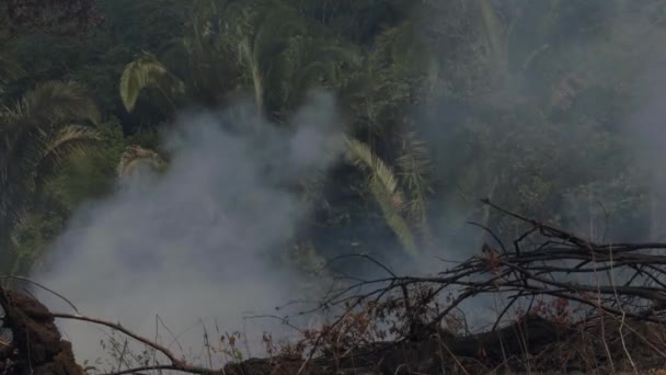 Soldar Incendios Forestales Selva Amazónica Causados Por Sequía Deforestación Calentamiento — Vídeo de stock