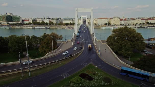 Recht Statisch Schot Van Elizabeth Bridge Met Verkeer Stroomt Tijdens — Stockvideo