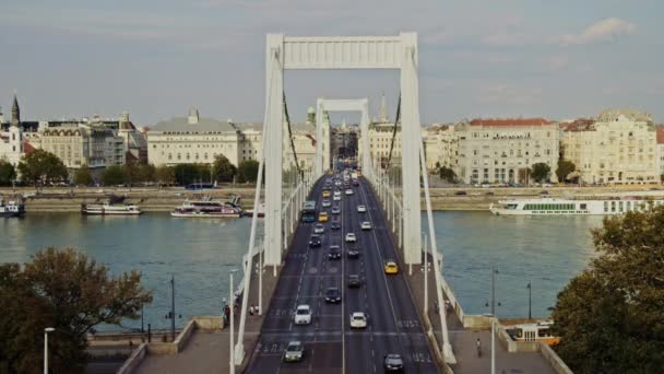 ภาพคงท ของสะพาน Elizabeth มองเข าไปในศ ชจากบ วยการจราจรท นวายเคล อนไหวในท งสองท — วีดีโอสต็อก