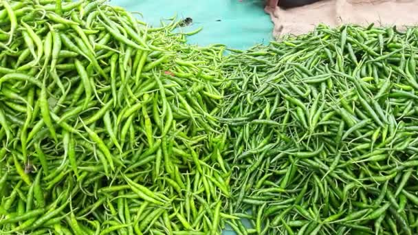 Zelené Chilli Papričky Trhu Čerstvé Zelené Knihy Trhu Sortiment Čerstvé — Stock video