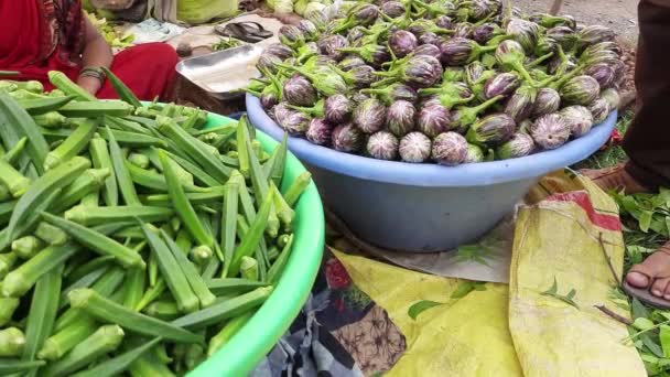 Boeren Voedselmarkt Kraampjes Met Een Verscheidenheid Aan Biologische Groenten Leverancier — Stockvideo