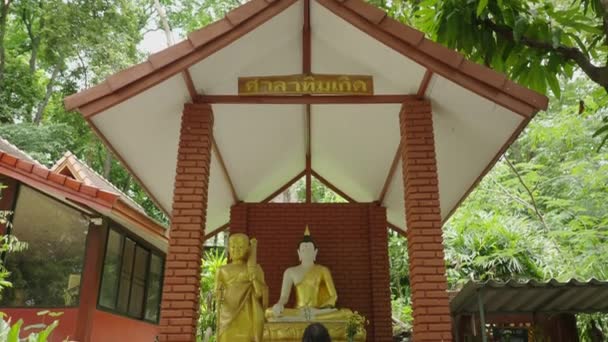Unrecognizable Person Sits Statues Temple Thailand Tilt — Stock Video