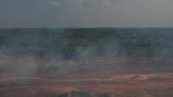 Καπνός Από Πυρκαγιές Που Καταστρέφουν Τροπικό Δάσος Του Αμαζονίου Εναέρια — Αρχείο Βίντεο