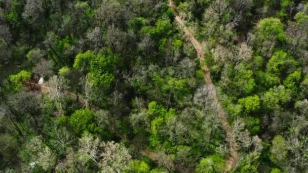 Blick Aus Der Vogelperspektive Über Baumwipfel Und Landwirtschaftliche Grundstücke Bei — Stockvideo