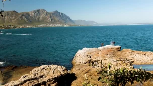 Toeristen Observeren Walvissen Die Dicht Bij Rotsachtige Kust Hermanus Walvissen — Stockvideo