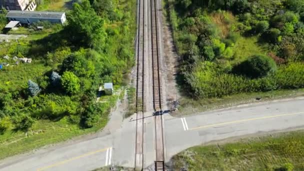 森林や農村部を通る長い2本の列車の痕跡を明らかにする — ストック動画
