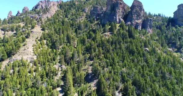 Montana Argentinischen Patagonien Umgeben Von Kiefern — Stockvideo