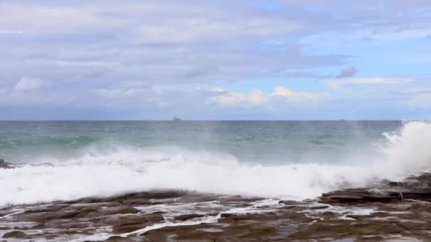 Large Waves Crashing Rocks Sydney Australia — Stock Video