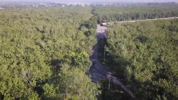 Drone Shots Famous Chi Tunnels Region Vietnam Chi Minh City — Stock Video