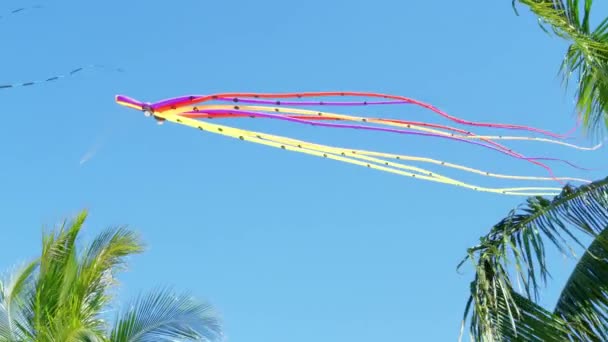 一只章鱼形风筝高高地在大风中飞舞 长长的触角和五彩斑斓的身躯的动态画面 — 图库视频影像