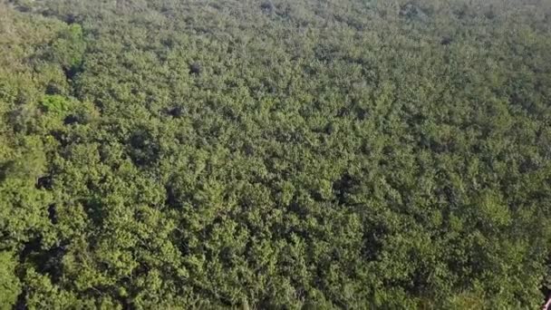 Fotografii Drone Ale Faimoaselor Tuneluri Chi Regiuni Din Vietnam Lângă — Videoclip de stoc