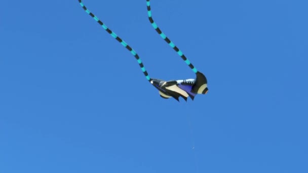 Dynamic Footage Butterfly Shaped Kite Flying High Fast Winds Long — Stock Video