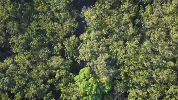 Drone Skott Den Berömda Chi Tunnlar Och Region Vietnam Nära — Stockvideo